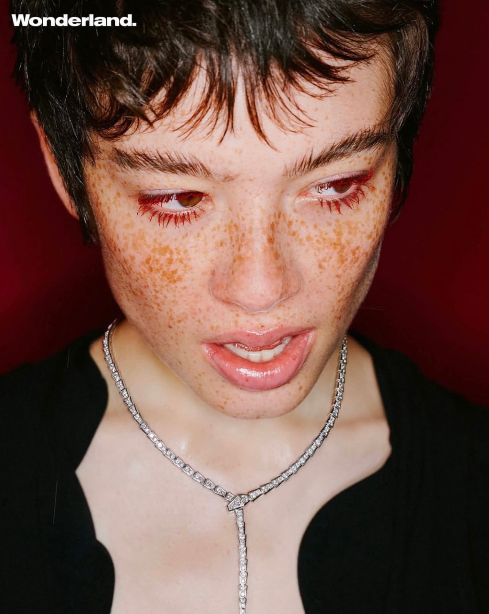 DANTE KEDDE photo