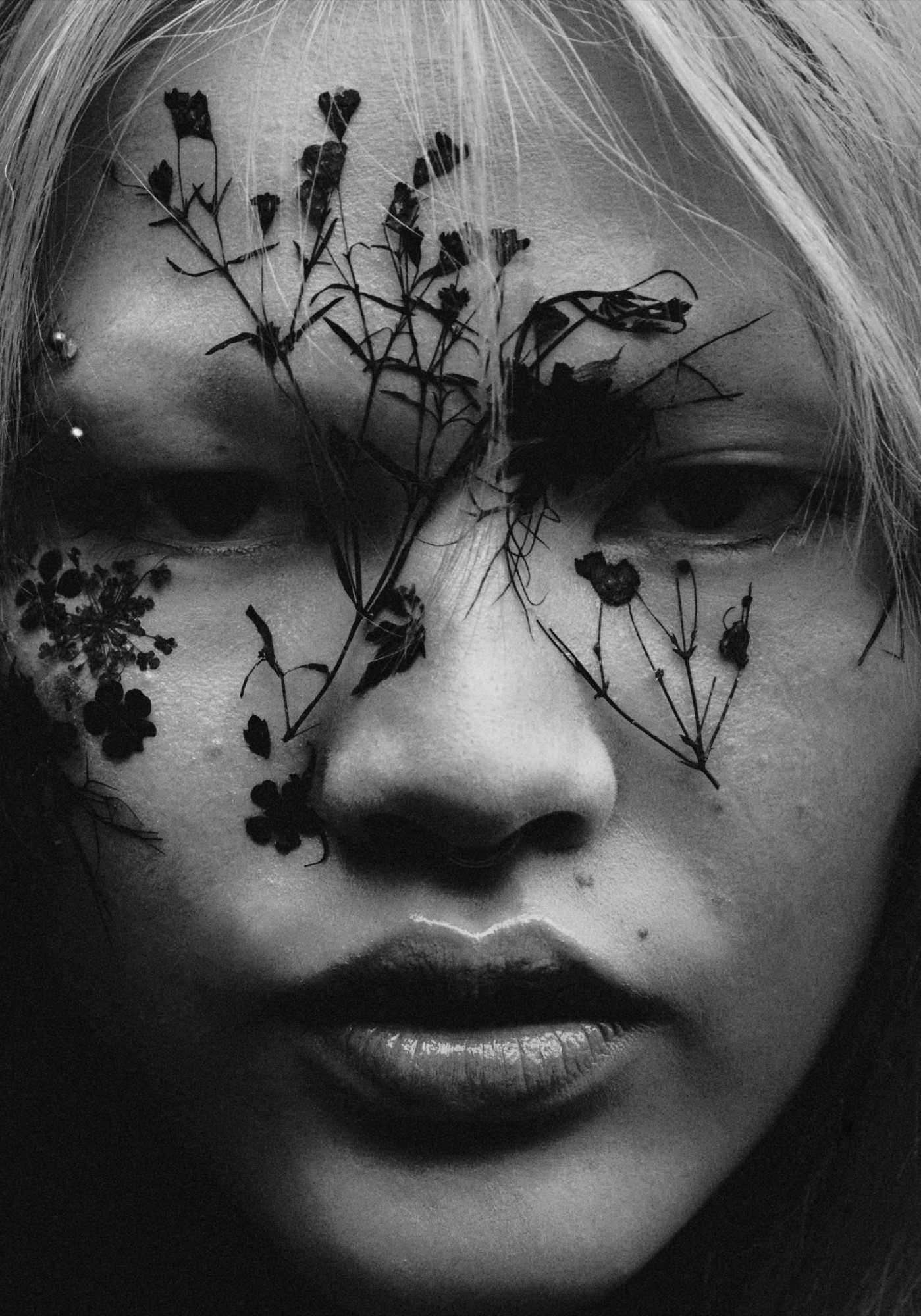 SAFFRON YIN YING CARY photo